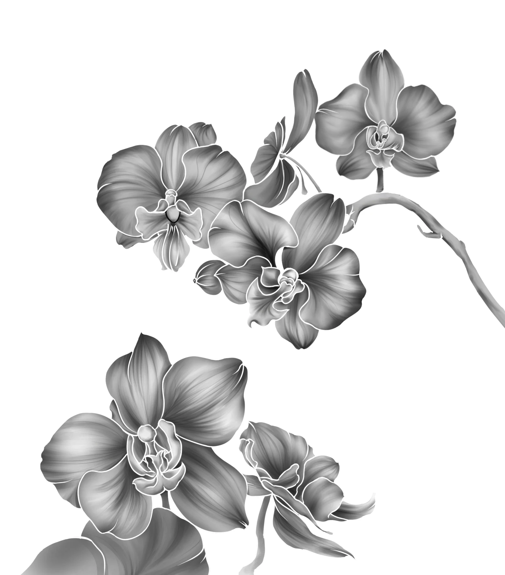 插画原件 · 04